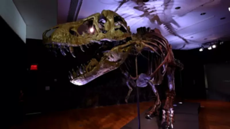 Estudo revela por que T-Rex tinha 'bracinhos': evolução das mandíbulas
