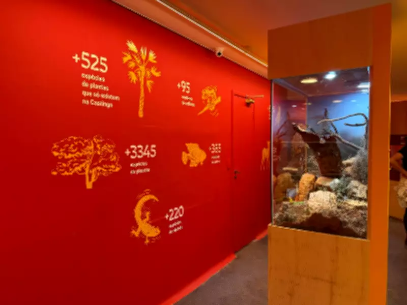 Exposição no Butantan desvenda riqueza da Caatinga e combate estereótipos