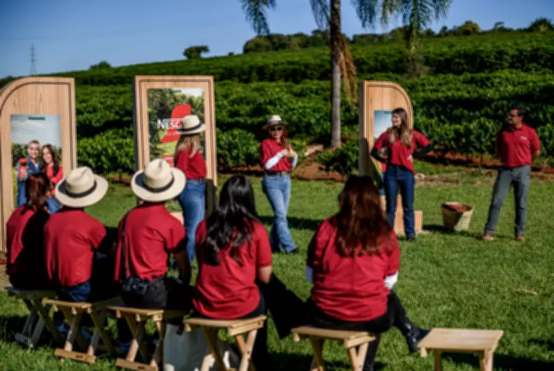 Fazenda de Sabrina Sato em Piraju produz café sustentável e integra programa da Nestlé