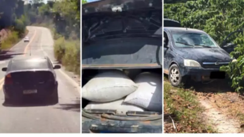 Fazendeiro persegue ladrões que roubaram café do pé em Jaguaré