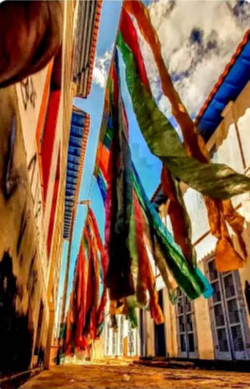 Festival Cultural e Artístico Zanzando Por Aí começa nesta quinta em Montes Claros