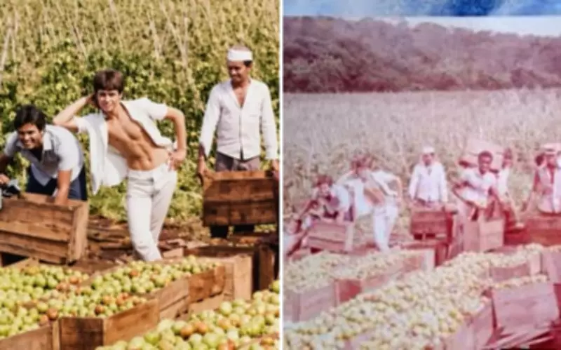 Foto antiga de Leonardo e Leandro em lavoura viraliza na web