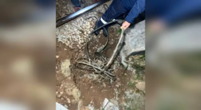 Furto de cabos afeta circulação de trens na Linha 7-Rubi em Jundiaí