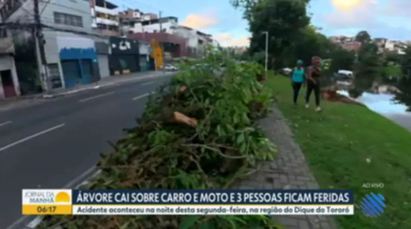 G1 e TV Bahia: Vídeos da Edição de 26 de Maio de 2026