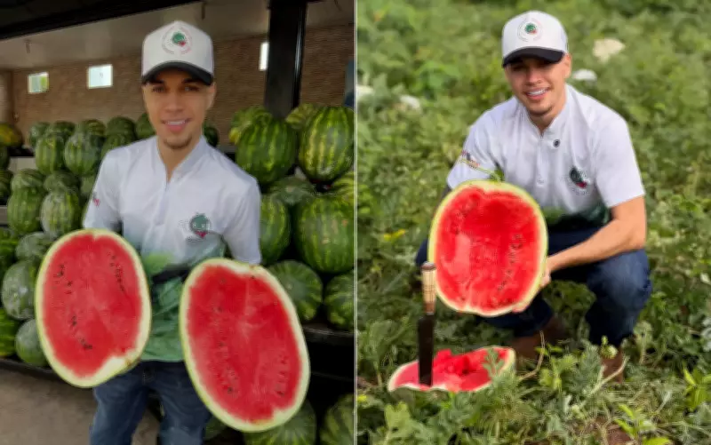 Galã da melancia: goiano viraliza ao vender frutas com roteiro e carisma
