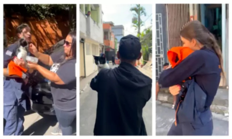Gata desaparecida em explosão no Jaguaré é resgatada e reencontra tutor