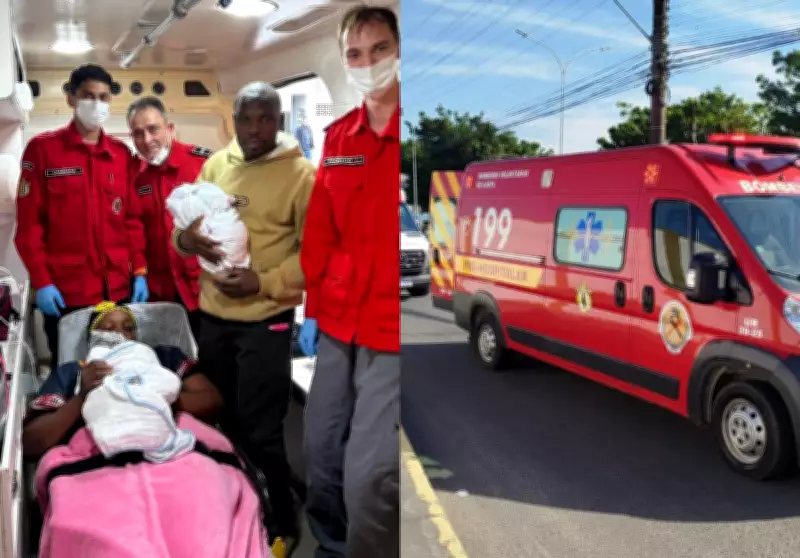 Gêmeos nascem em ambulância em parto emergencial na estrada em SC