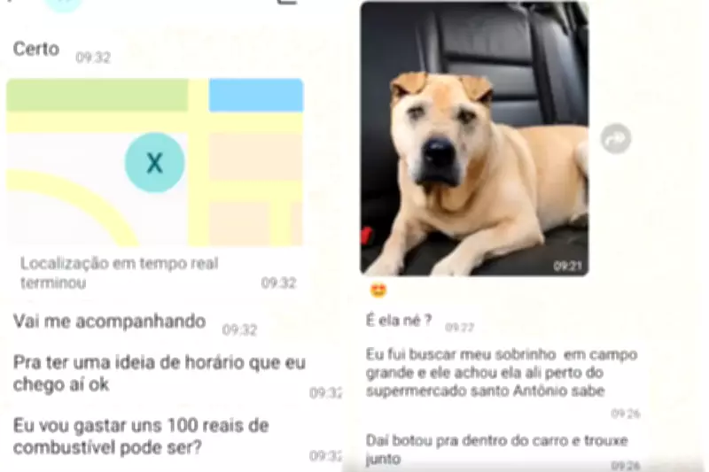 Golpe do pet desaparecido: criminosos usam IA para enganar tutores