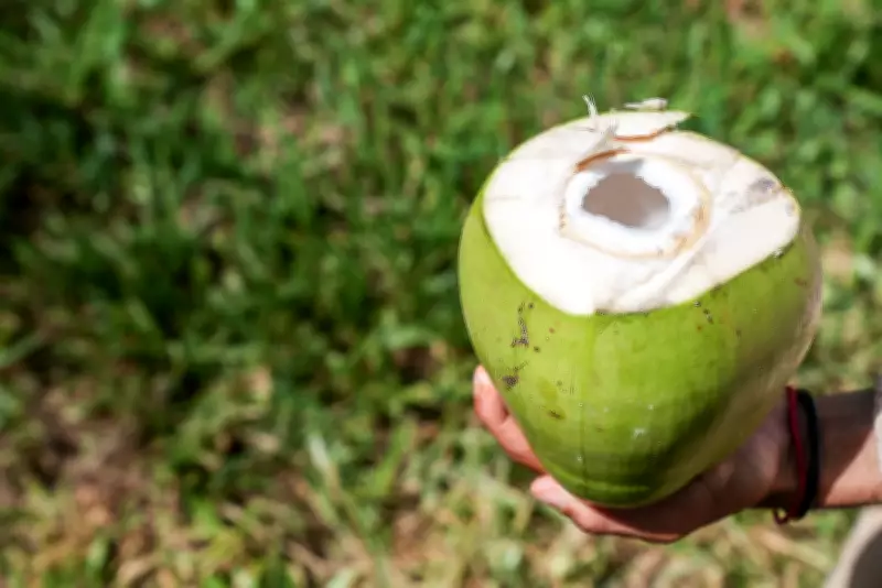 Água de coco pode substituir isotônico? Veja quando usar cada um