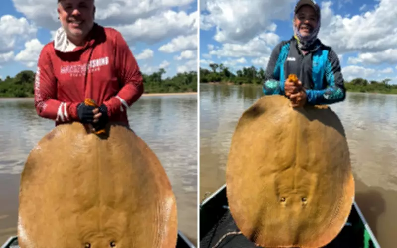 Guia captura arraia gigante de 1,3 metro no Rio Araguaia em Goiás