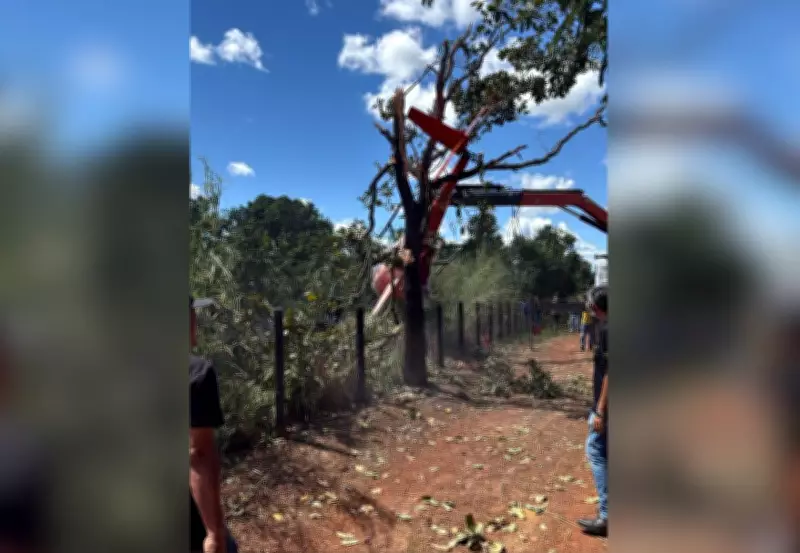Henrique e Juliano divulgam vídeo após queda de helicóptero em Porto Nacional
