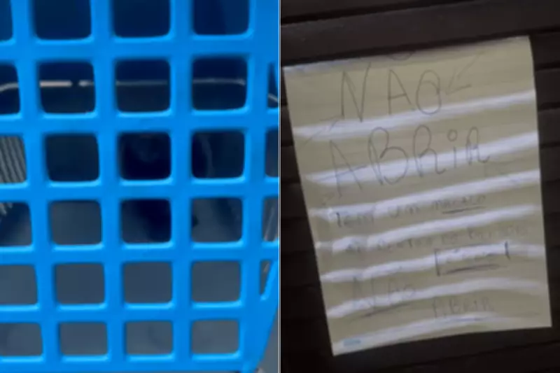 Homem abriga macaco no banheiro e deixa bilhete até resgate em Praia Grande