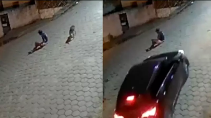 Homem embriagado sentado na rua é atropelado e morre em Mantenópolis