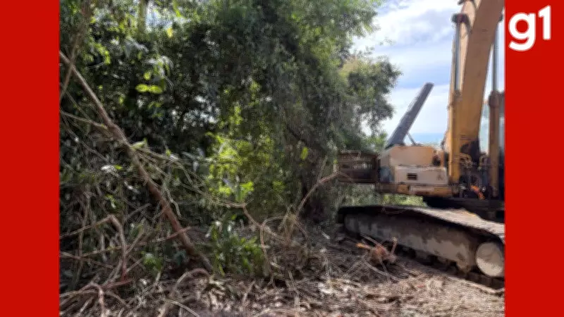 Homem multado em R$ 100 mil após destruir retroescavadeira em garimpo ilegal