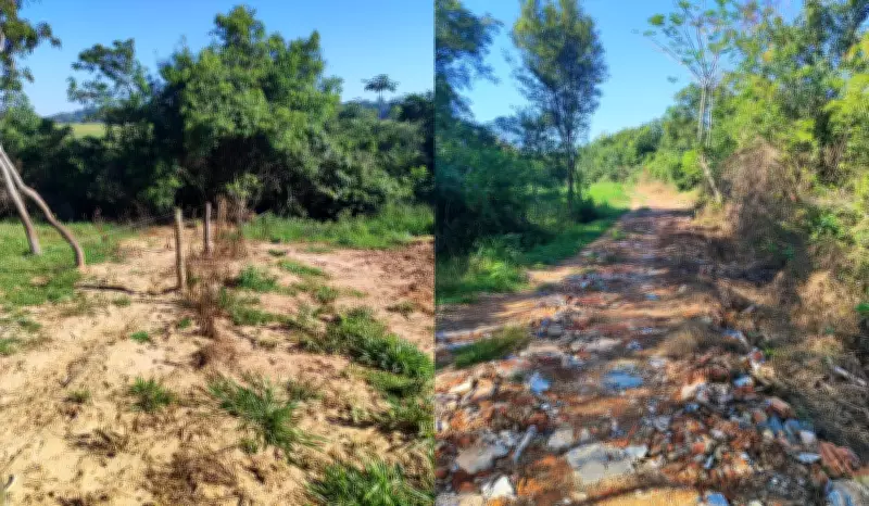 Homem é multado em R$ 11,6 mil por corte irregular de árvores nativas em Presidente Prudente