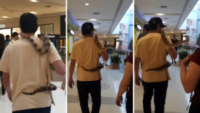Homem passeia com cobra enrolada no pescoço em shopping no interior de SP