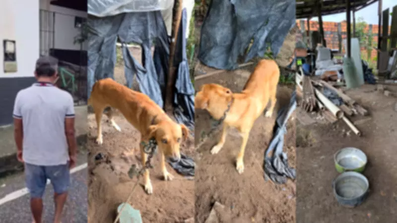 Homem é preso por manter cachorro acorrentado e desnutrido em Bragança, PA
