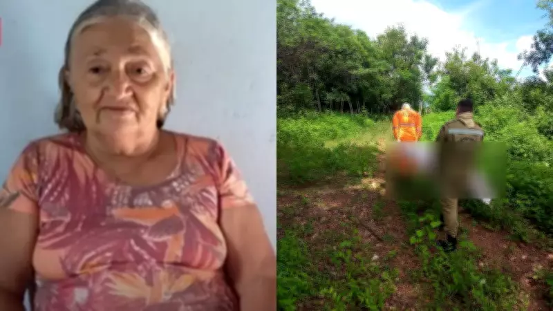 Idosa de 75 anos morre atacada por enxame de abelhas no interior do Ceará
