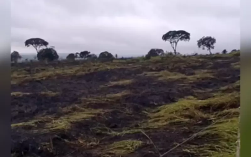 Incêndio atinge 4 hectares em Itaí e é extinto após duas horas de combate