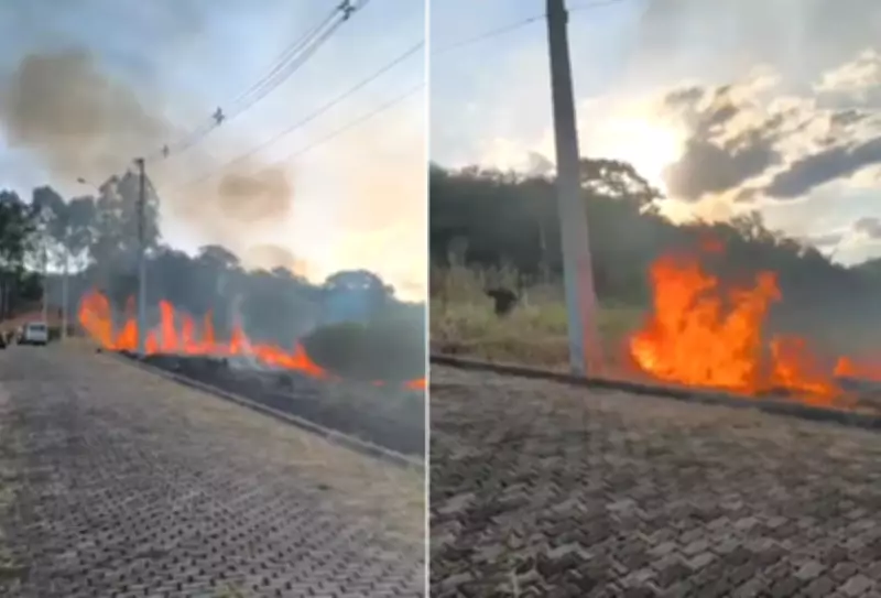 Incêndio em vegetação ameaça casas em Porciúncula, Noroeste Fluminense