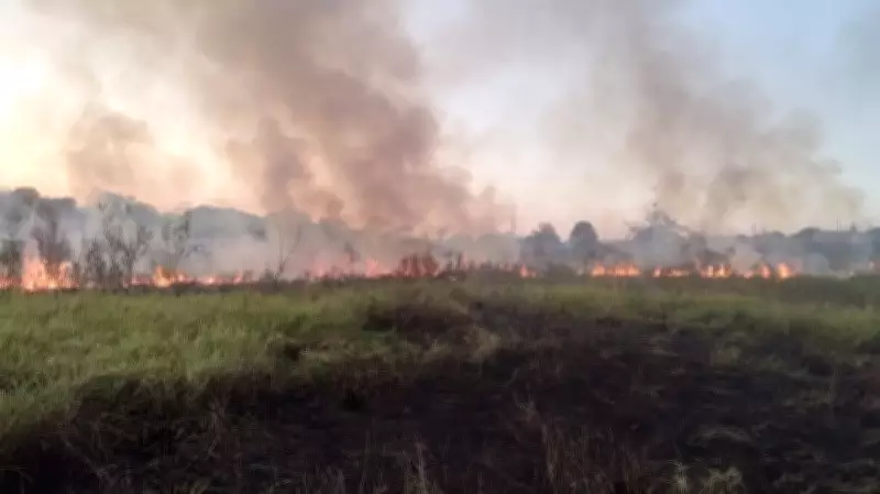 Incêndio em vegetação mobiliza bombeiros em Vera Cruz (SP)