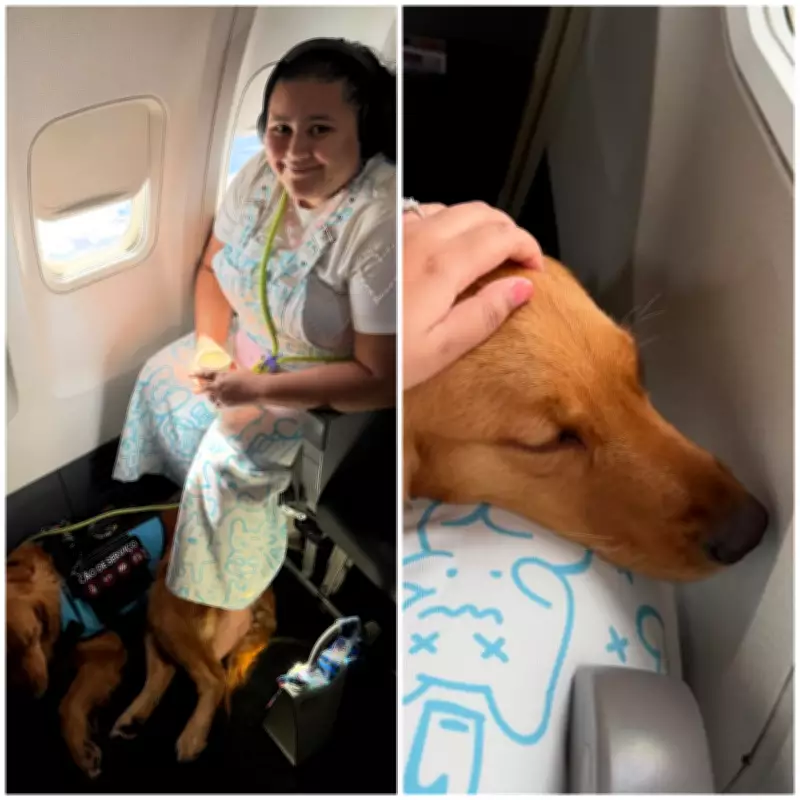 Influenciadora autista é barrada em voo da LATAM com cão de serviço em Maceió