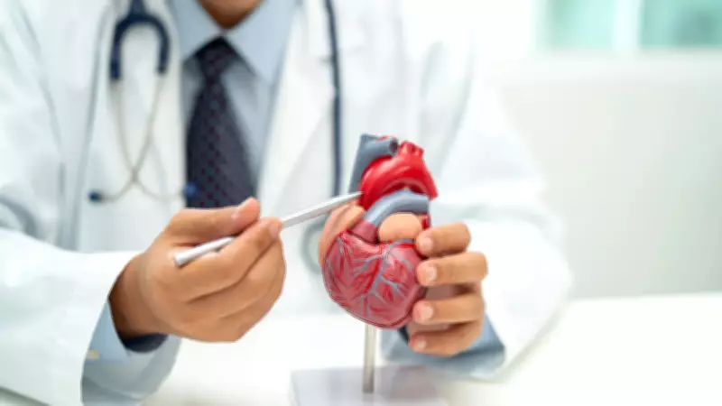 Insuficiência cardíaca: sintomas, tipos, fatores de risco e tratamento