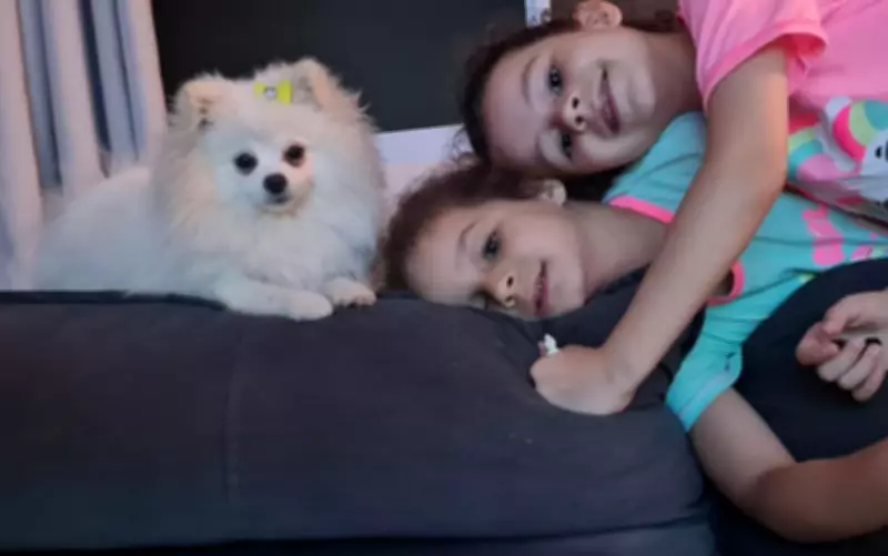 Irmãs fazem apelo emocionante para encontrar cachorra desaparecida em Barretos