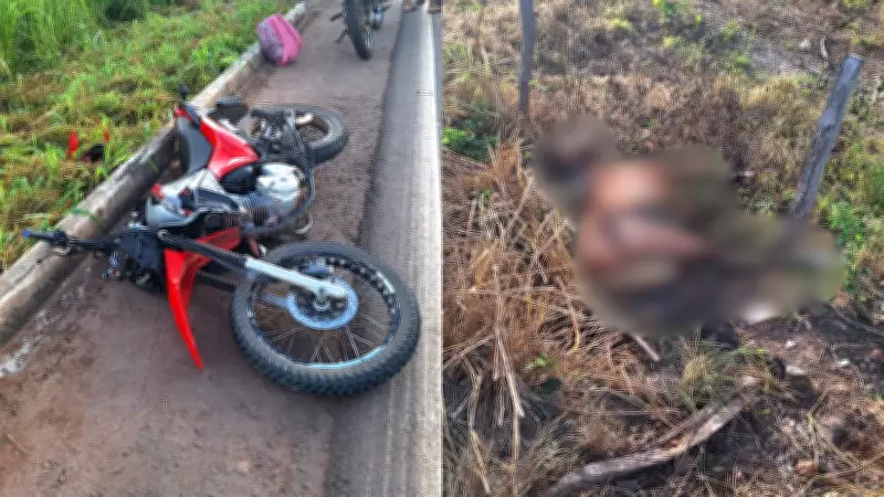 Jovem de 22 anos morre ao colidir moto com cavalo no interior do Piauí