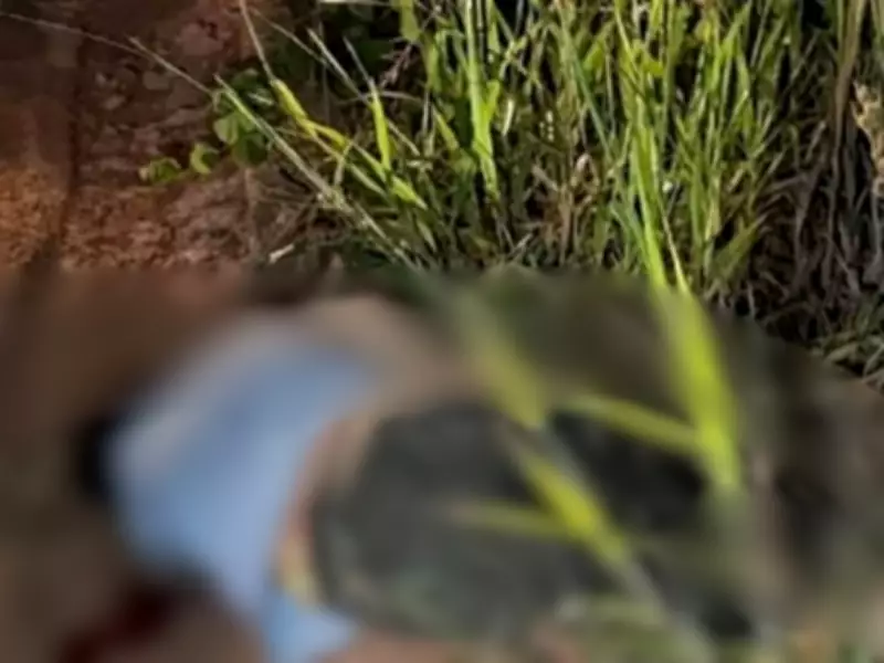 Jovem sequestrado e morto a tiros no Acre; quadrilha presa