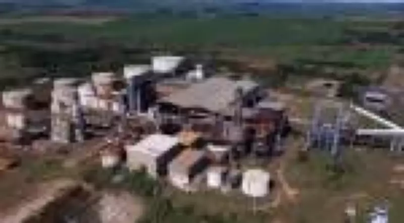 Justiça leiloa fazendas do Grupo Bertolo para pagar dívida bilionária