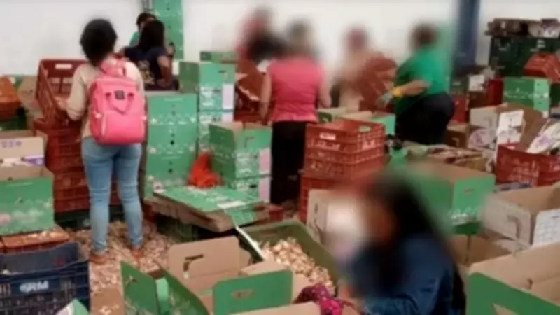 Justiça mantém multas por trabalho degradante em fábrica de alho em MG