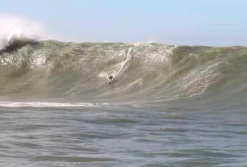 Laje da Jagua: surfistas buscam novo recorde de maior onda do Brasil