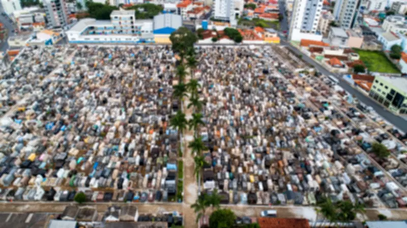 Lei em Pouso Alegre autoriza enterro de pets em jazigos dos tutores