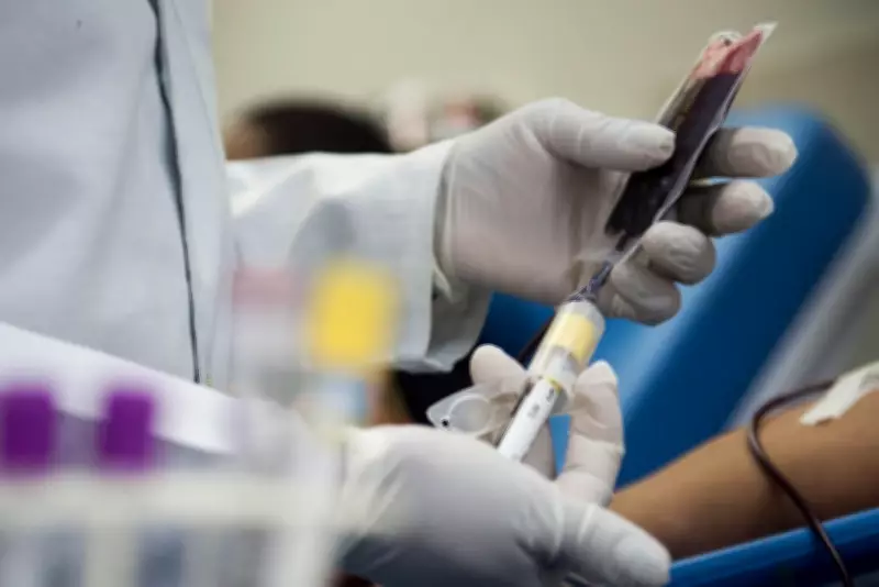Locais de doação de sangue no Sul do Rio e Costa Verde; saiba onde ir
