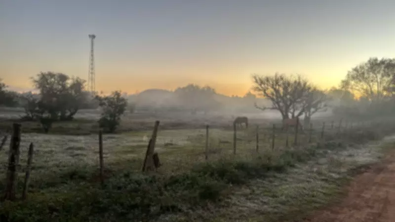 Massa de ar polar avança sobre o RS com geada e mínima de -2,5°C