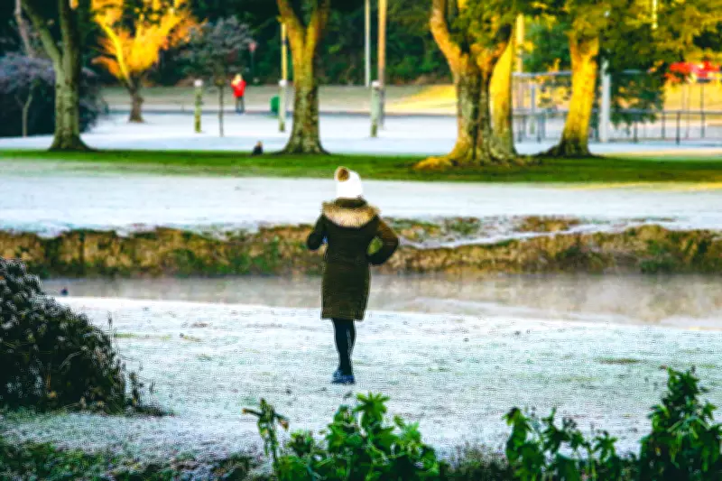 Massa de ar polar deve trazer maior queda de temperatura do ano no Brasil