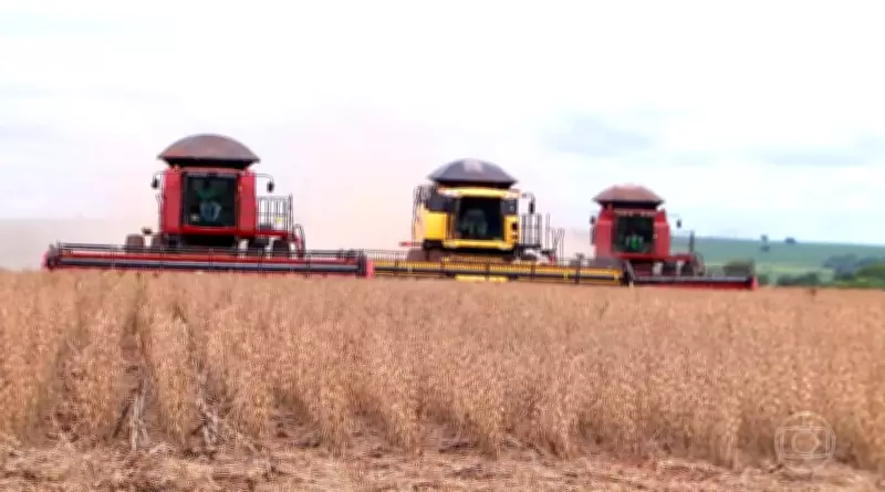 Mato Grosso bate recorde histórico de produção de soja na safra 2025/26