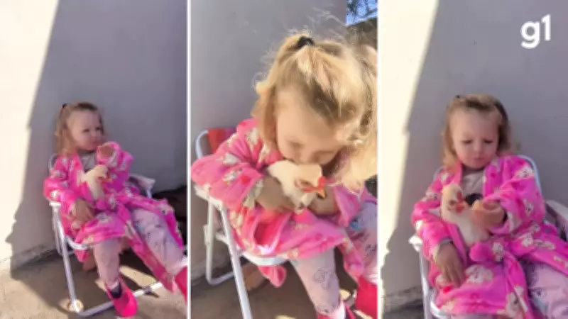 Menina de 2 anos encanta ao 'lagartear' com bergamota e galinha no colo no RS