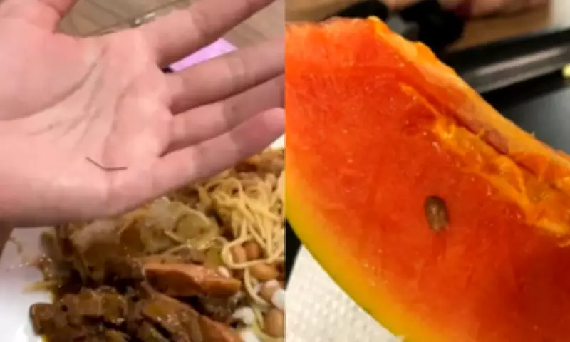 Metal e ovo de barata são achados em comida no RU da Ufam em Manaus