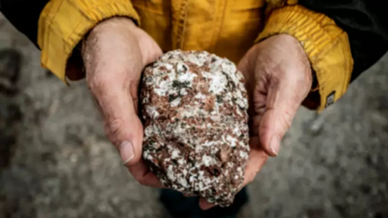 Minerais de terras raras: essenciais para tecnologia e indústria moderna