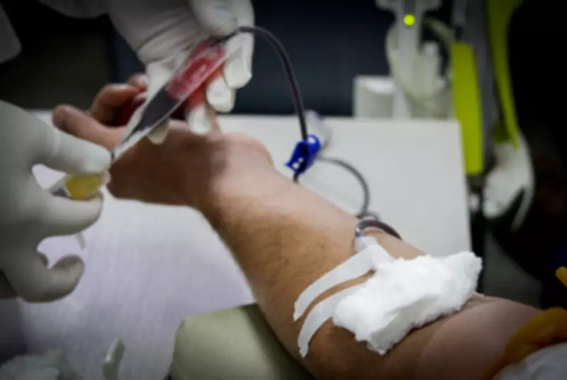 MT Hemocentro faz coleta de sangue neste sábado em Cuiabá