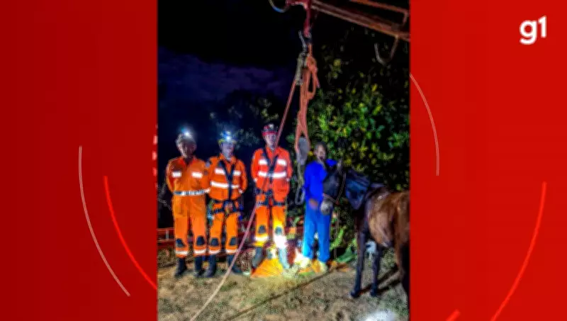Mula cai em cisterna desativada e é resgatada em São Francisco (MG)