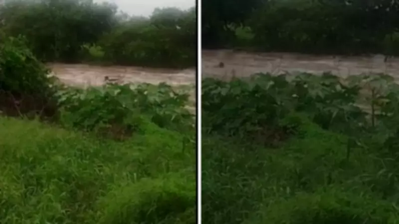 Mulher arrastada por correnteza em Passira é salva por morador
