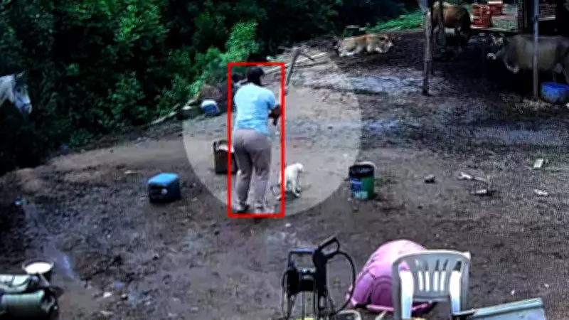 Mulher que matou cão com picareta é presa e solta em Porto Alegre