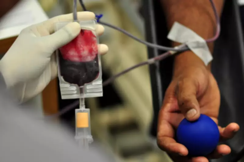 Multas de trânsito podem ser convertidas em doação de sangue em Divinópolis