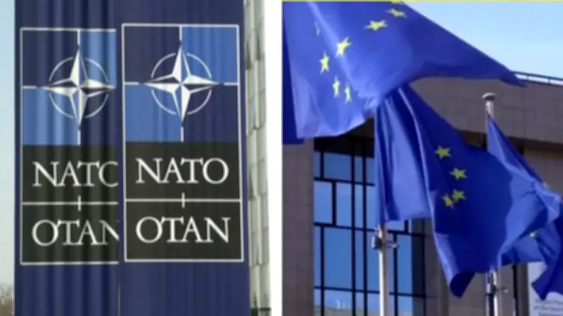 NATO allies must respond to Trump's disappointment, warns US secretary
