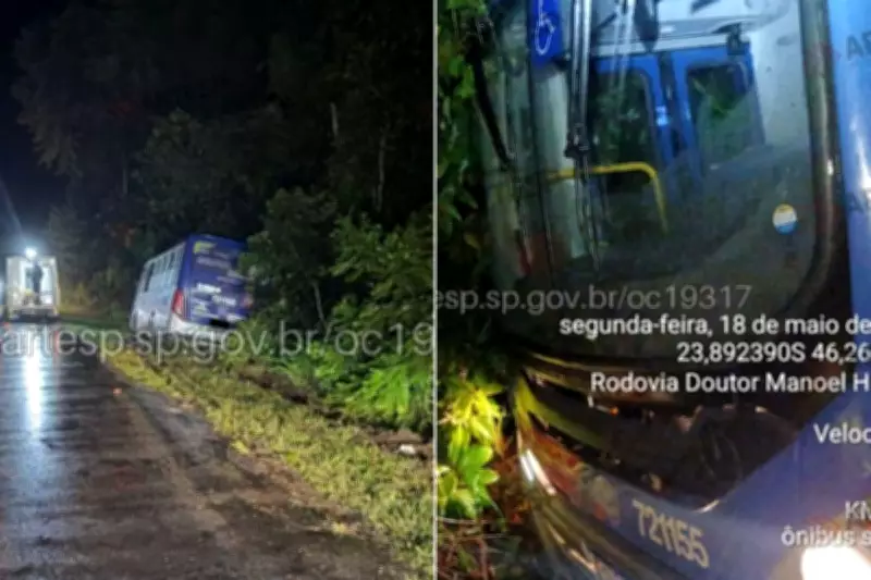 Ônibus intermunicipal invade mata na Rio-Santos em Santos; ninguém se feriu
