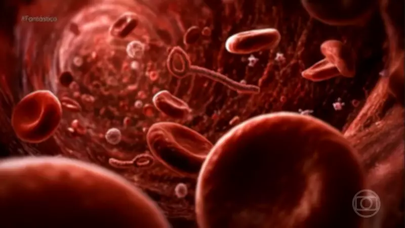 Novo surto de ebola na RDC preocupa comunidade internacional