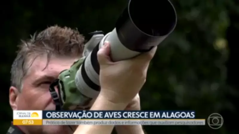 Observação de aves cresce em Alagoas e atrai novos adeptos ao hobby